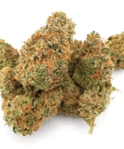 Acapulco Gold wiet