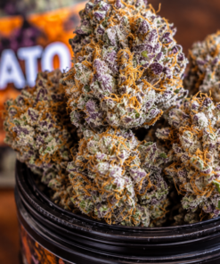Gelato Sunset